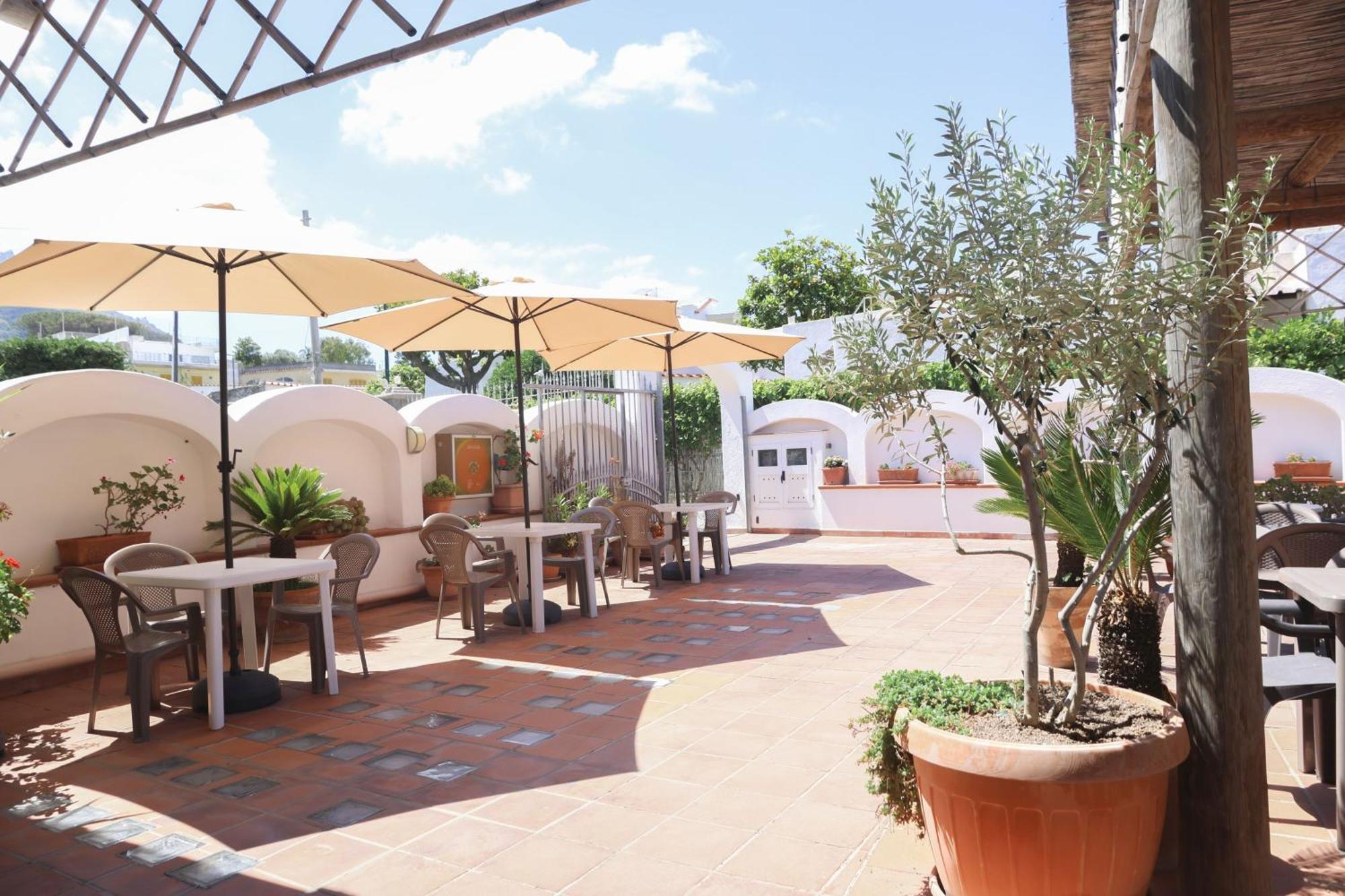 Hotel Cesotta Forio di Ischia Dış mekan fotoğraf
