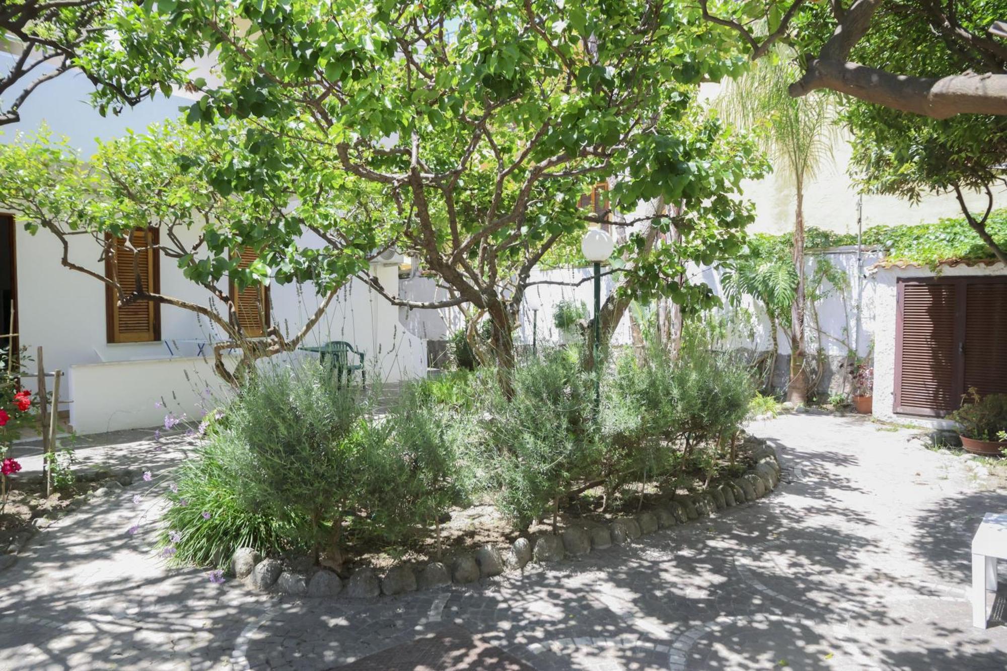 Hotel Cesotta Forio di Ischia Dış mekan fotoğraf