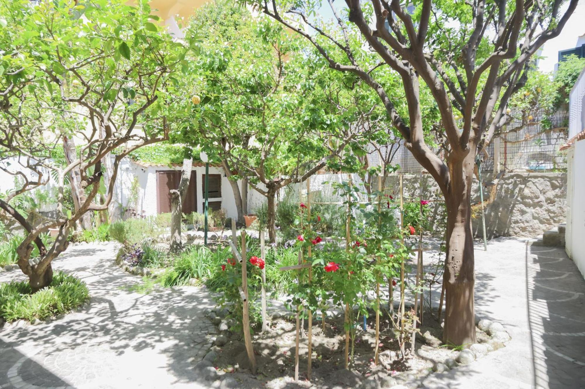 Hotel Cesotta Forio di Ischia Dış mekan fotoğraf